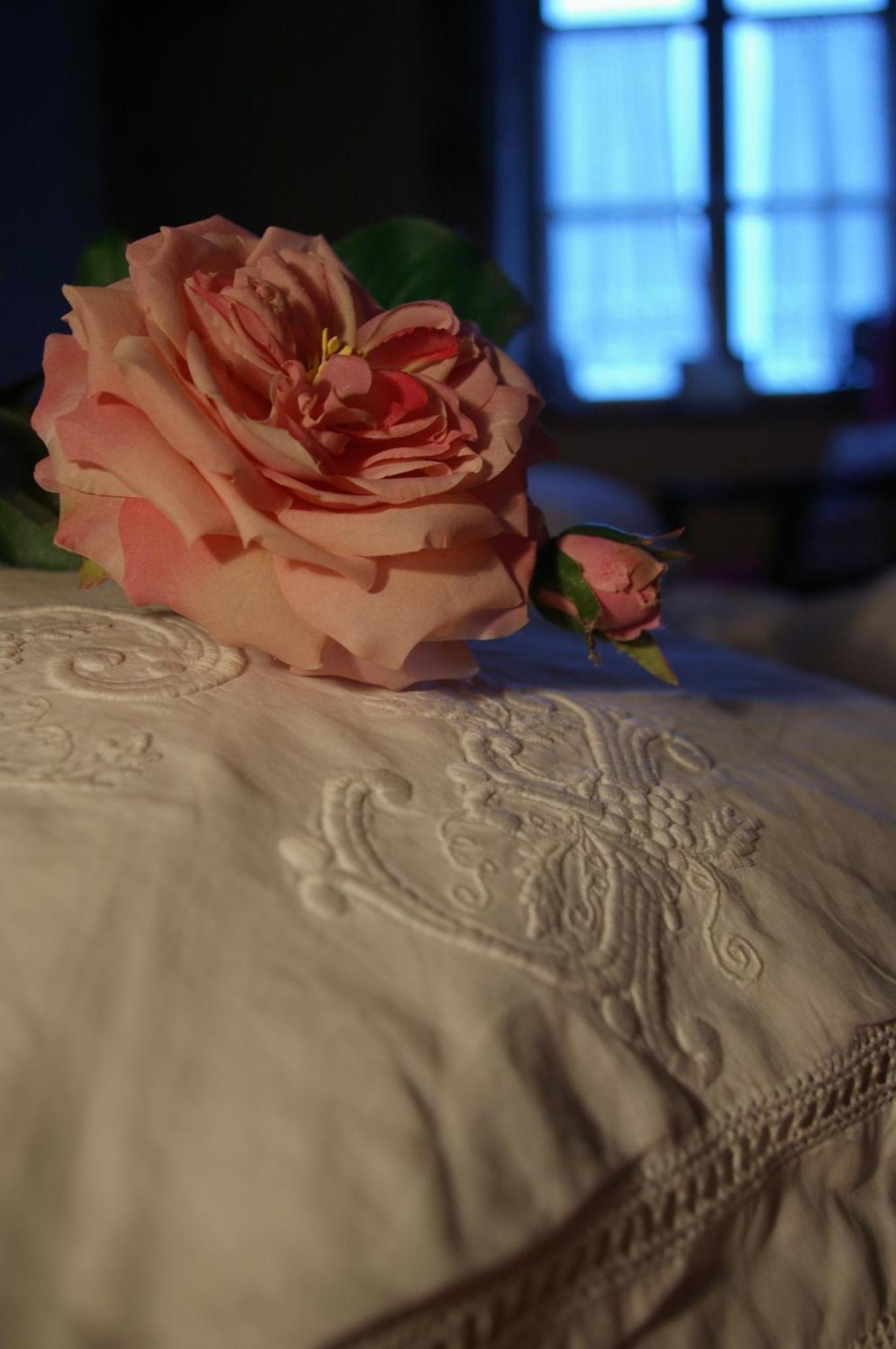 Manoir De Coulandon Hotel Argentan Bagian luar foto